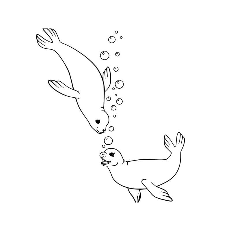 Tekenen Zeehond gratis afdrukbaar