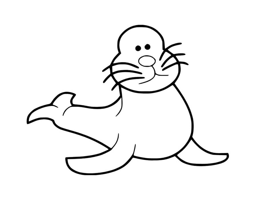 Tekenen Zeehond gratis voor kinderen