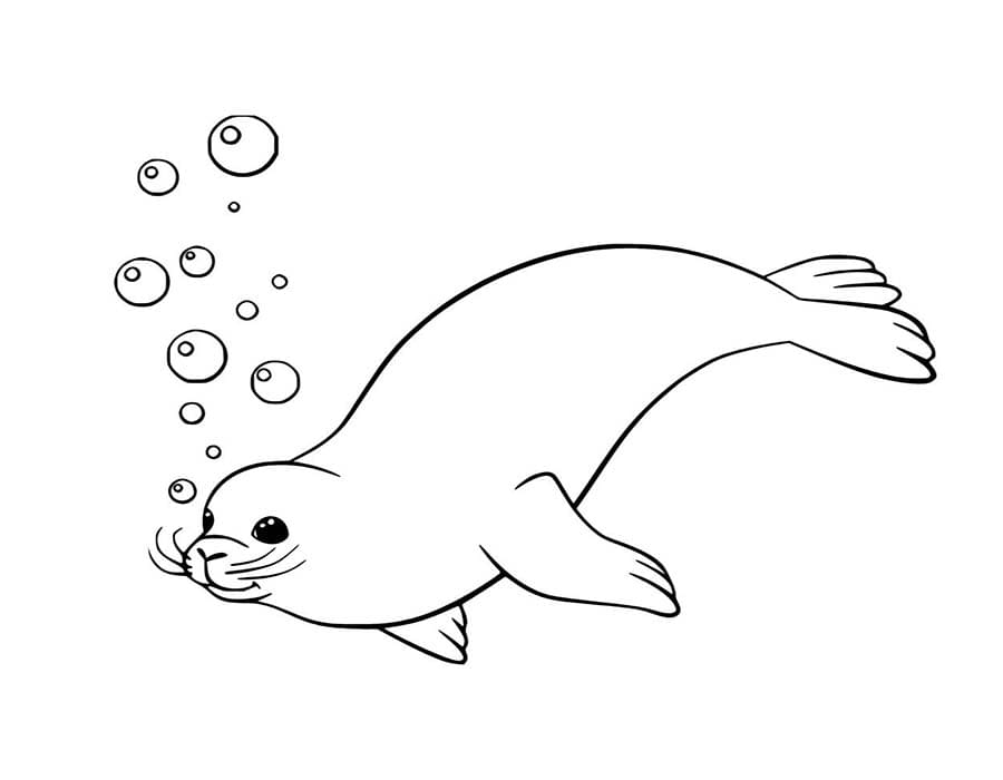 Tekenen Zeehond simpel