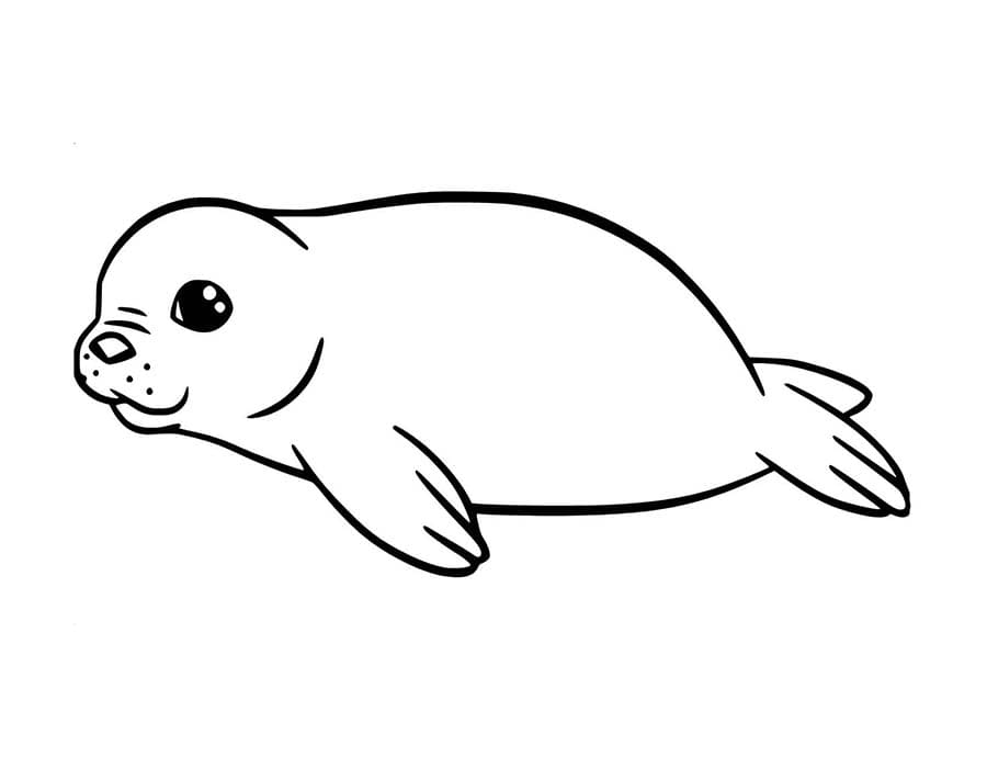 Tekenen Zeehond voor kinderen