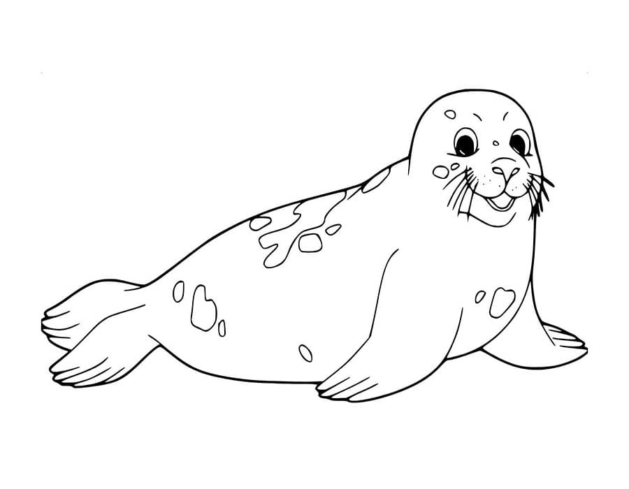 Zeehond afdrukbaar basis