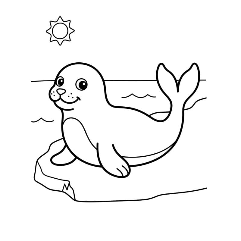 Zeehond afdrukbaar eenvoudig