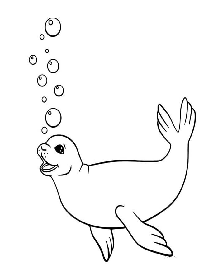 Zeehond afdrukbaar voor kinderen