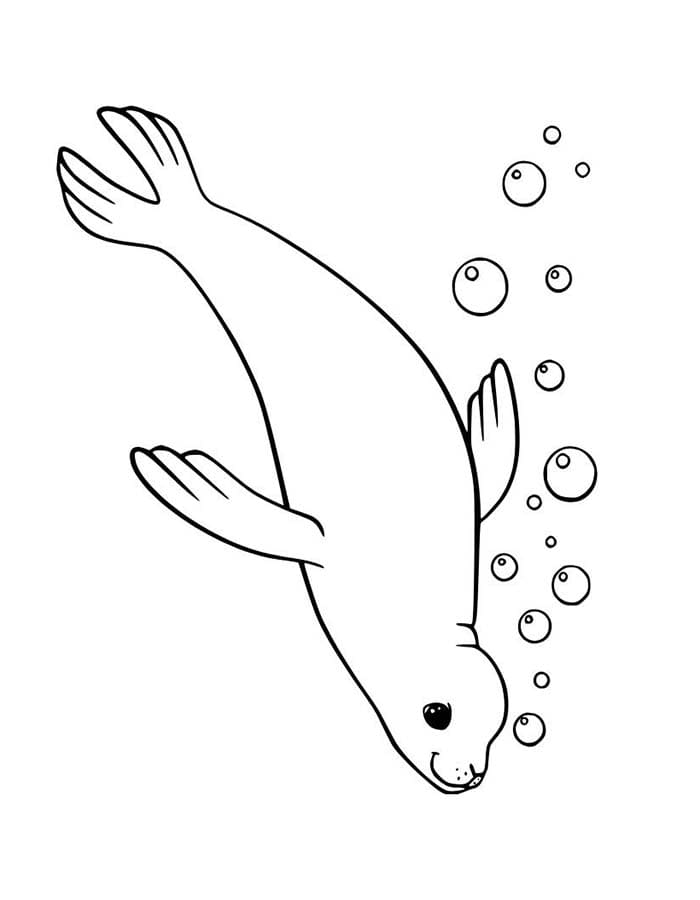 Zeehond gratis afdrukbaar basis