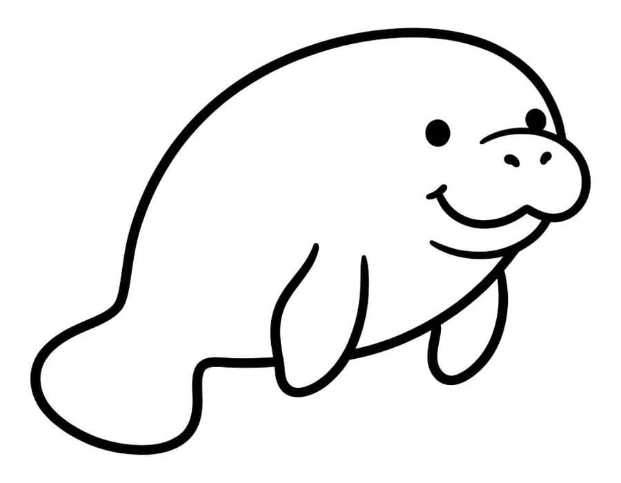Zeekoeien