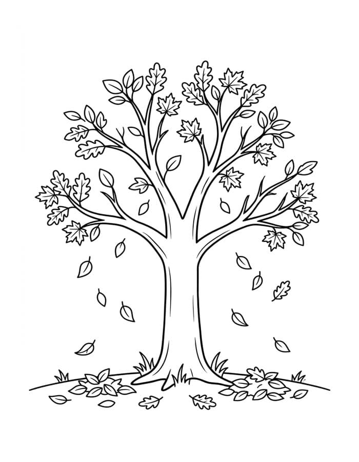 Herfstboom gratis