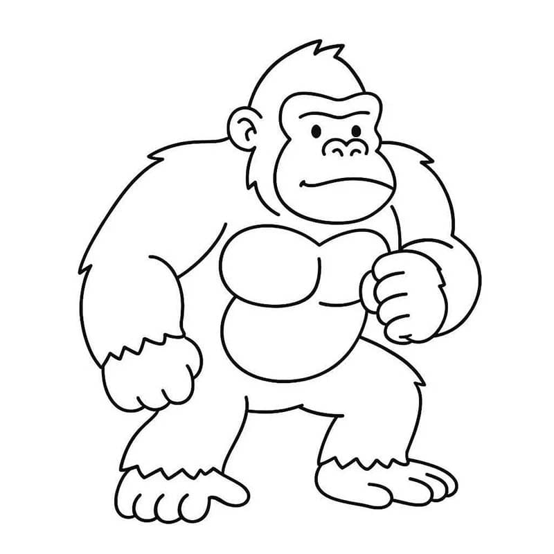 King Kong voor kinderen