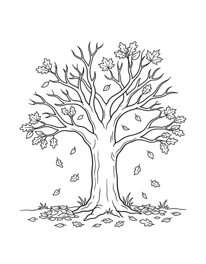 Tekenen Herfstboom gratis afdrukbaar eenvoudig