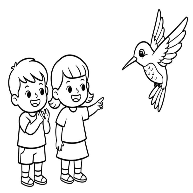 Tekenen Kolibrie gratis voor kinderen